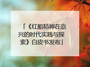 《红船精神在嘉兴的时代实践与探索》白皮书发布