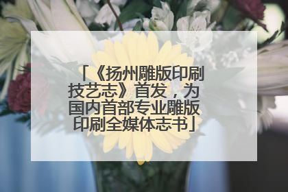 《扬州雕版印刷技艺志》首发，为国内首部专业雕版印刷全媒体志书
