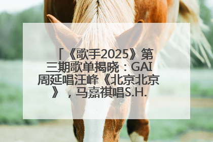 《歌手2025》第三期歌单揭晓：GAI周延唱汪峰《北京北京》，马嘉祺唱S.H.E《你曾是少年》