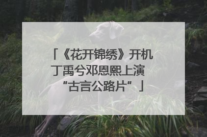 《花开锦绣》开机 丁禹兮邓恩熙上演“古言公路片”