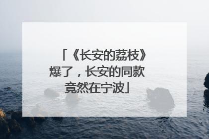 《长安的荔枝》爆了，长安的同款竟然在宁波