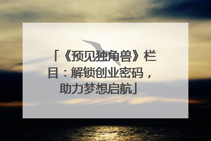 《预见独角兽》栏目：解锁创业密码，助力梦想启航