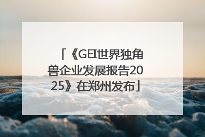 《GEI世界独角兽企业发展报告2025》在郑州发布