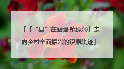 「“县”在图强·镇原③」走向乡村全面振兴的镇原轨迹