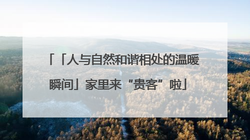 「人与自然和谐相处的温暖瞬间」家里来“贵客”啦