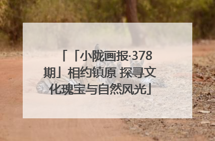 「小陇画报·378期」相约镇原 探寻文化瑰宝与自然风光