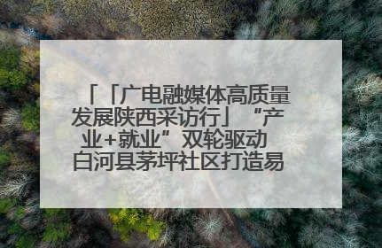 「广电融媒体高质量发展陕西采访行」“产业+就业”双轮驱动 白河县茅坪社区打造易地搬迁后扶新样本