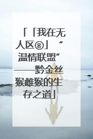 「我在无人区⑧」“温情联盟”——黔金丝猴雌猴的生存之道