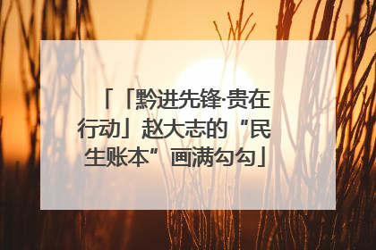 「黔进先锋·贵在行动」赵大志的“民生账本”画满勾勾