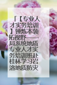 【专业人才实务培训】锤炼本领拓视野——局系统地质专业人才实务培训班赴桂林学习岩溶地质防灾与韧性城市建设前沿实践