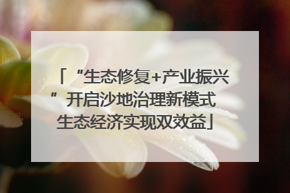 “生态修复+产业振兴”开启沙地治理新模式 生态经济实现双效益
