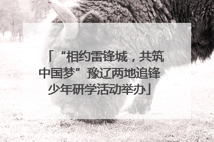 “相约雷锋城，共筑中国梦”豫辽两地追锋少年研学活动举办