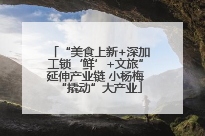 “美食上新+深加工锁‘鲜’+文旅”延伸产业链 小杨梅“撬动”大产业