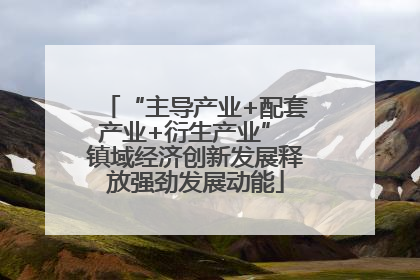 “主导产业+配套产业+衍生产业” 镇域经济创新发展释放强劲发展动能