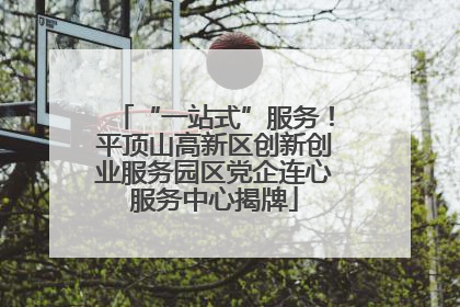 “一站式”服务！平顶山高新区创新创业服务园区党企连心服务中心揭牌