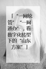 “一网统管”“一网通办”，看数字化转型下的“山东方案”