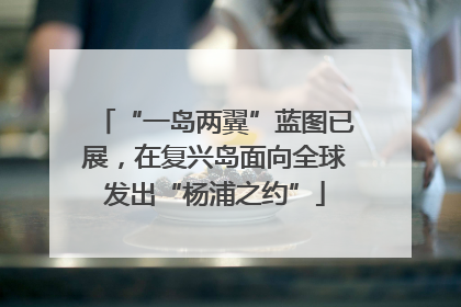 “一岛两翼”蓝图已展，在复兴岛面向全球发出“杨浦之约”