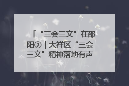“三会三文”在邵阳②｜大祥区“三会三文”精神落地有声 以实干实绩助力区域高质量发展