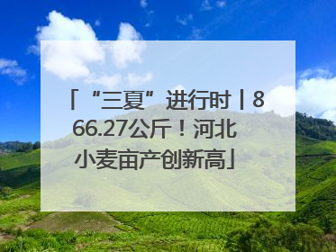 “三夏”进行时丨866.27公斤！河北小麦亩产创新高