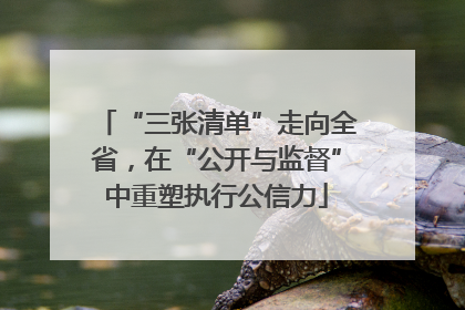 “三张清单”走向全省，在“公开与监督”中重塑执行公信力