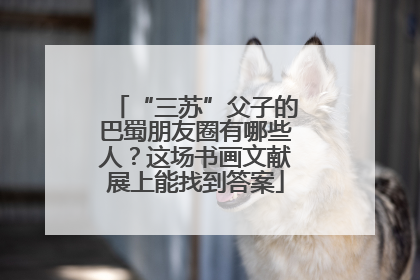 “三苏”父子的巴蜀朋友圈有哪些人？这场书画文献展上能找到答案