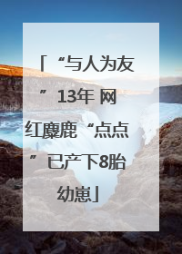 “与人为友”13年 网红麋鹿“点点”已产下8胎幼崽