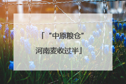 “中原粮仓”河南麦收过半