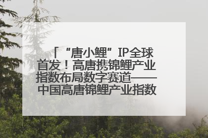 “唐小鲤”IP全球首发！高唐携锦鲤产业指数布局数字赛道——中国高唐锦鲤产业指数暨“唐小鲤”IP全球首发仪式在杭州举行
