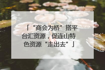 “商会为桥”搭平台汇资源，促连山特色资源“走出去”