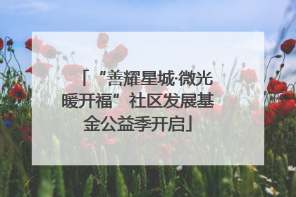 “善耀星城·微光暖开福”社区发展基金公益季开启