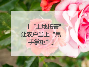 “土地托管”让农户当上“甩手掌柜”