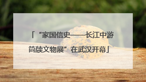 “家国信史——长江中游简牍文物展”在武汉开幕