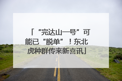 “完达山一号”可能已“脱单”！东北虎种群传来新喜讯