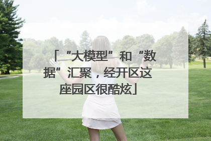 “大模型”和“数据”汇聚，经开区这座园区很酷炫