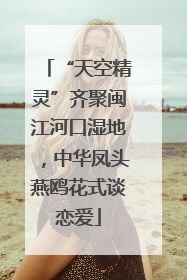 “天空精灵”齐聚闽江河口湿地，中华凤头燕鸥花式谈恋爱