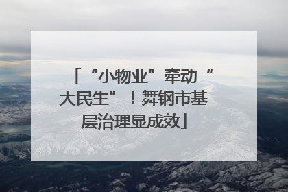 “小物业”牵动“大民生”！舞钢市基层治理显成效