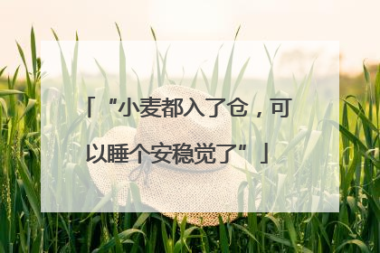 “小麦都入了仓，可以睡个安稳觉了”
