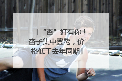 “杏”好有你！杏子集中登鹭，价格低于去年同期