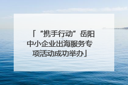 “携手行动”岳阳中小企业出海服务专项活动成功举办
