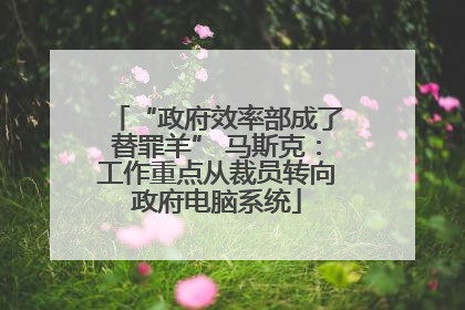 “政府效率部成了替罪羊” 马斯克：工作重点从裁员转向政府电脑系统