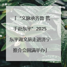“文脉承齐鲁 携手赴东平”2025东平湖文旅走进济宁推介会圆满举办