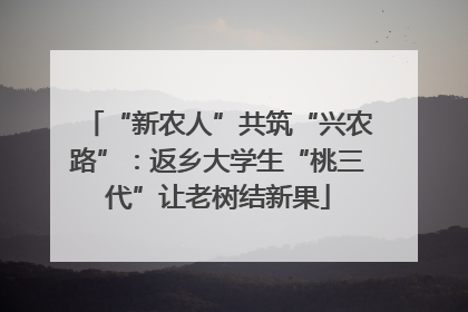 “新农人”共筑“兴农路”：返乡大学生“桃三代”让老树结新果