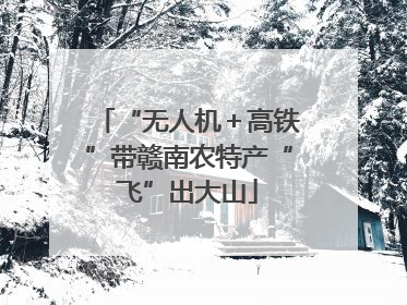 “无人机＋高铁”带赣南农特产“飞”出大山