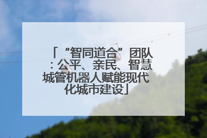 “智同道合”团队：公平、亲民、智慧城管机器人赋能现代化城市建设