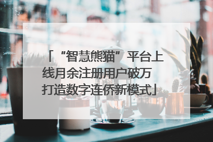 “智慧熊猫”平台上线月余注册用户破万 打造数字连侨新模式