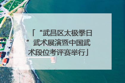 “武昌区太极拳日”武术展演暨中国武术段位考评赛举行