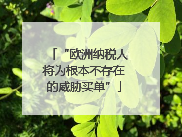 “欧洲纳税人将为根本不存在的威胁买单”