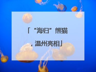 “海归”熊猫，温州亮相
