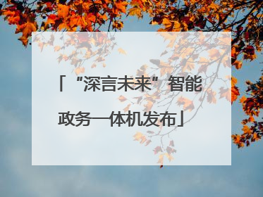 “深言未来”智能政务一体机发布