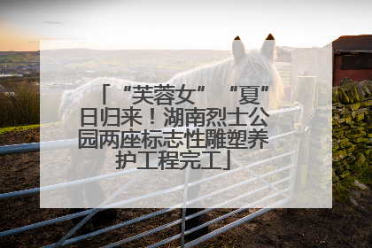 “芙蓉女”“夏”日归来！湖南烈士公园两座标志性雕塑养护工程完工